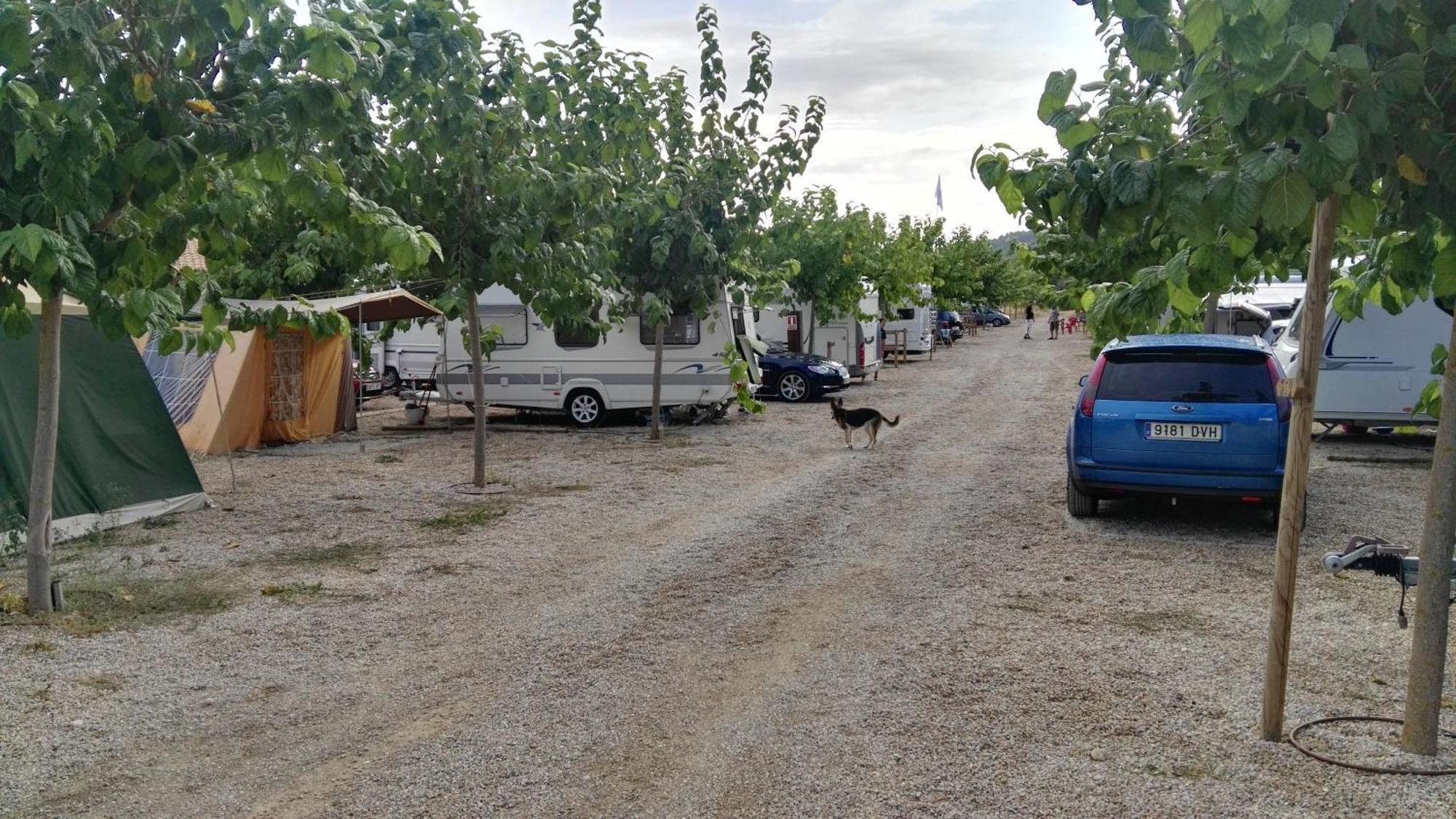 El Roble Campsite Valderrobres