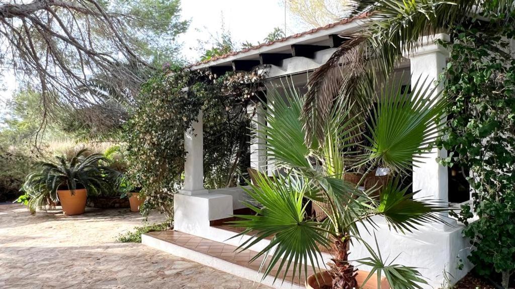 Holiday home Casa Christine Playa Migjorn