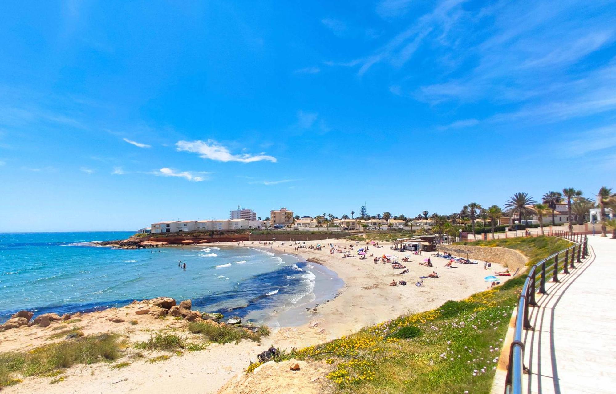 Roza Punta Prima