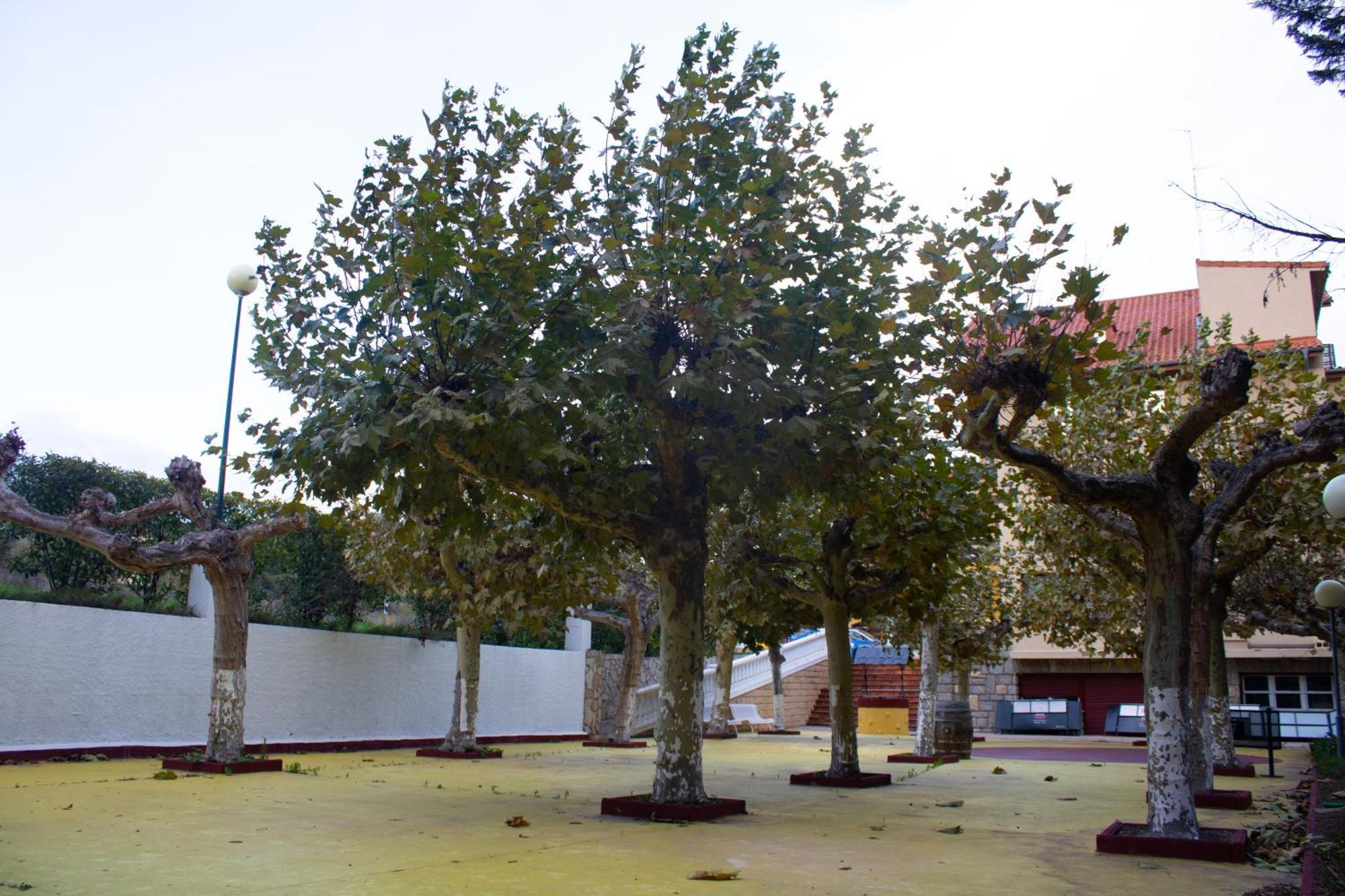 El Molino De
