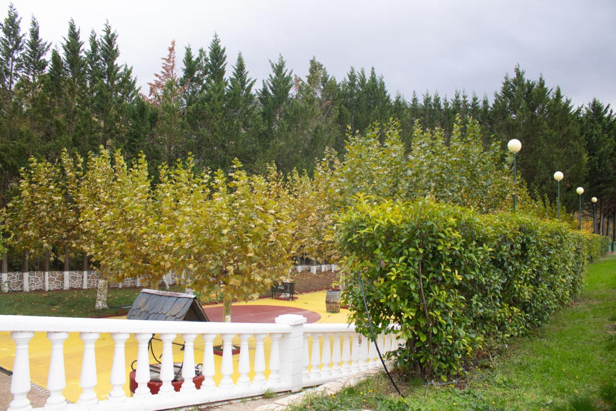 Hotel El Molino De