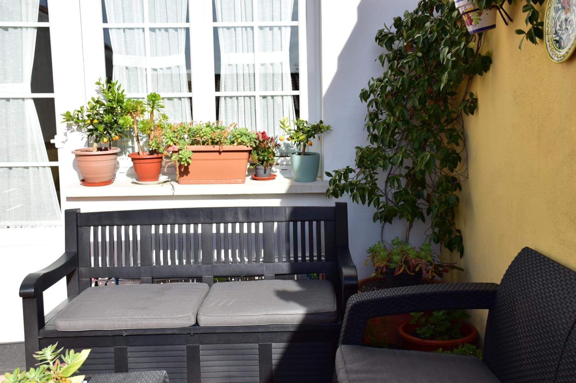 Casa Raichu