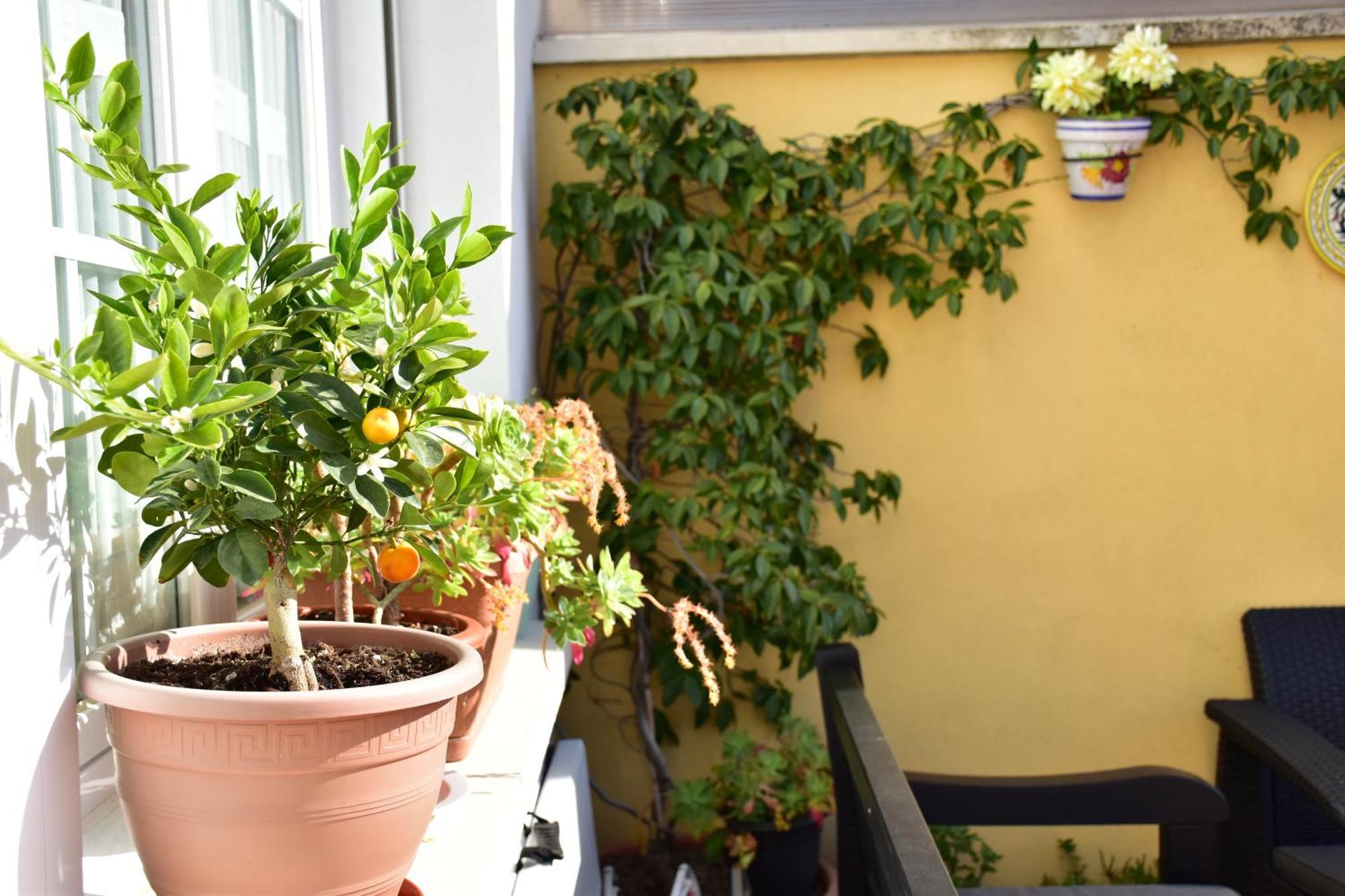 Bed and breakfast Casa Raichu