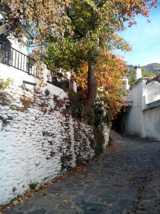 Casa Margarita Сasa de vacaciones