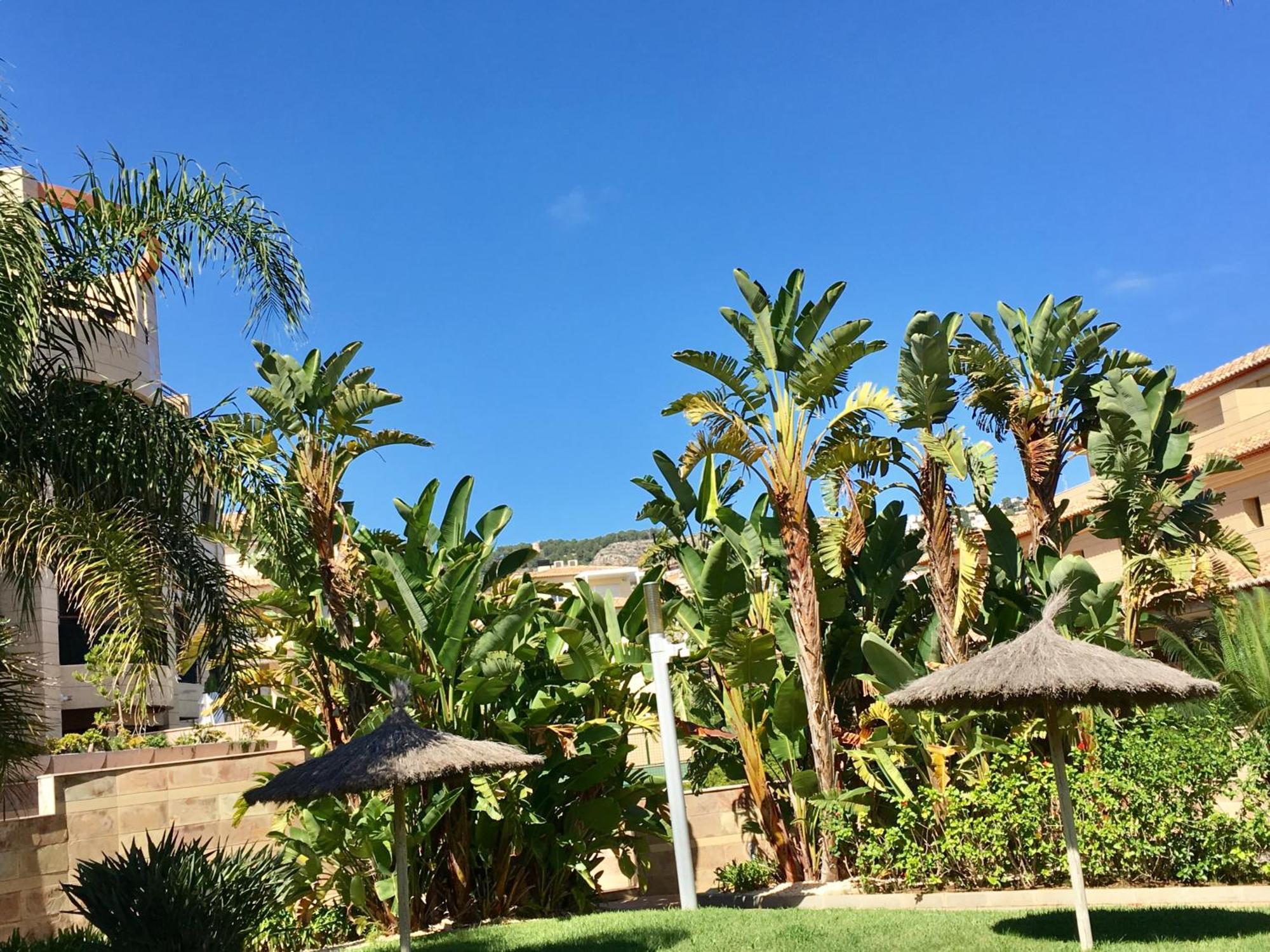 Luxury Living Javea