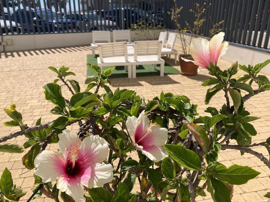 Apartamento Playa 207 *