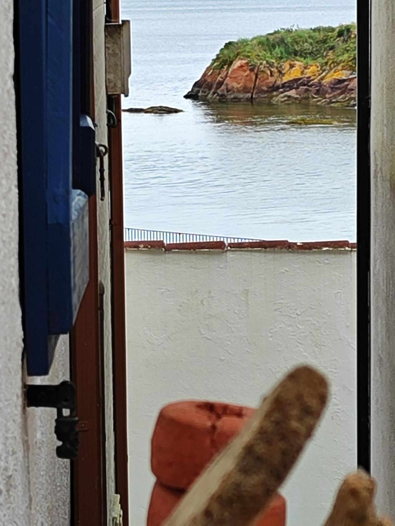 Casina Marineira * Palmeira