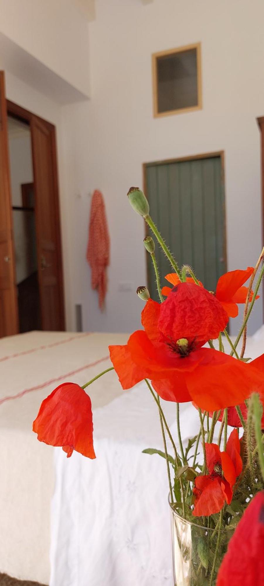 Idayvuelta & With Private Pool Guest house *
