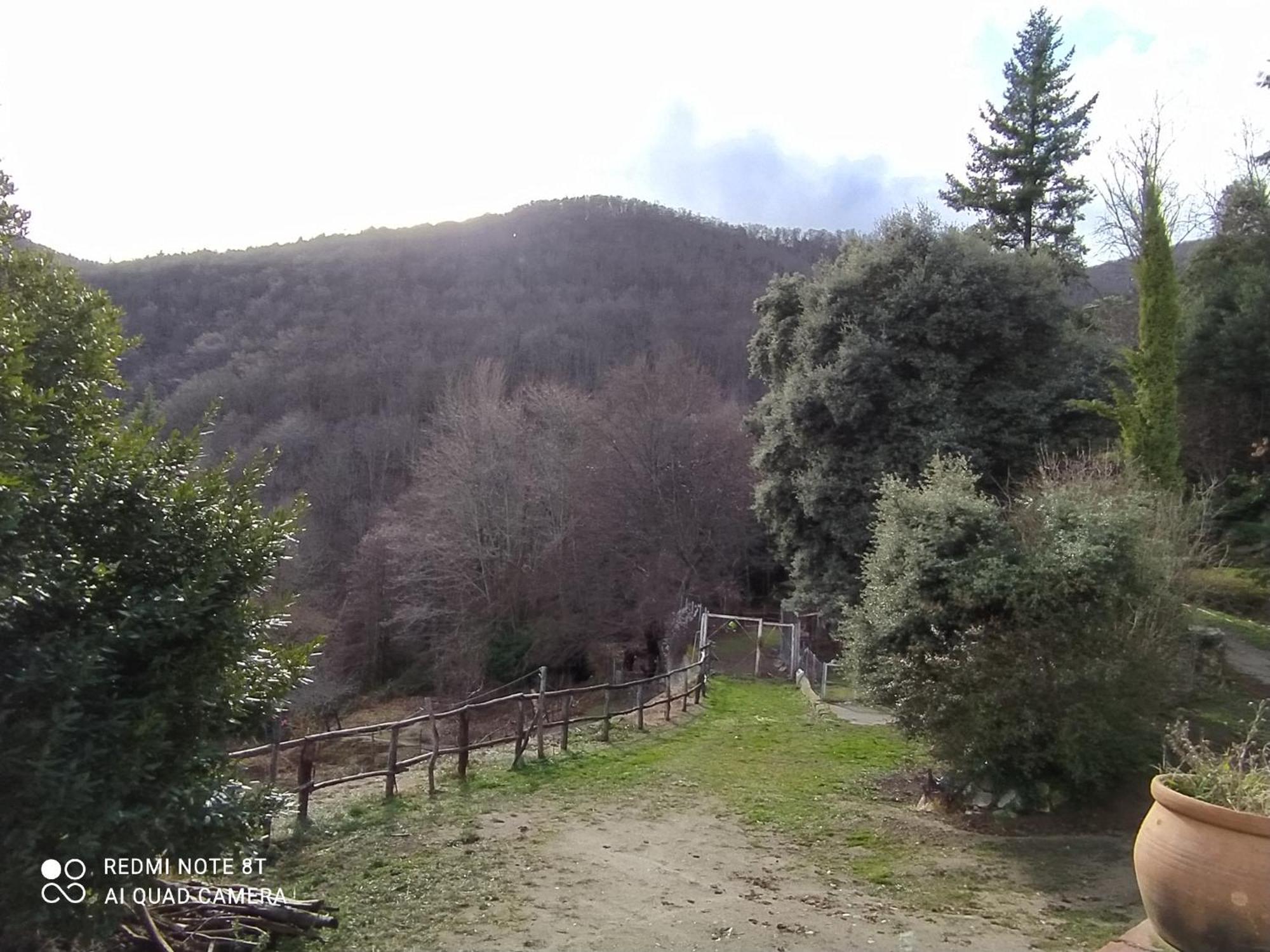 Country house El Buxaus De La Muntanya