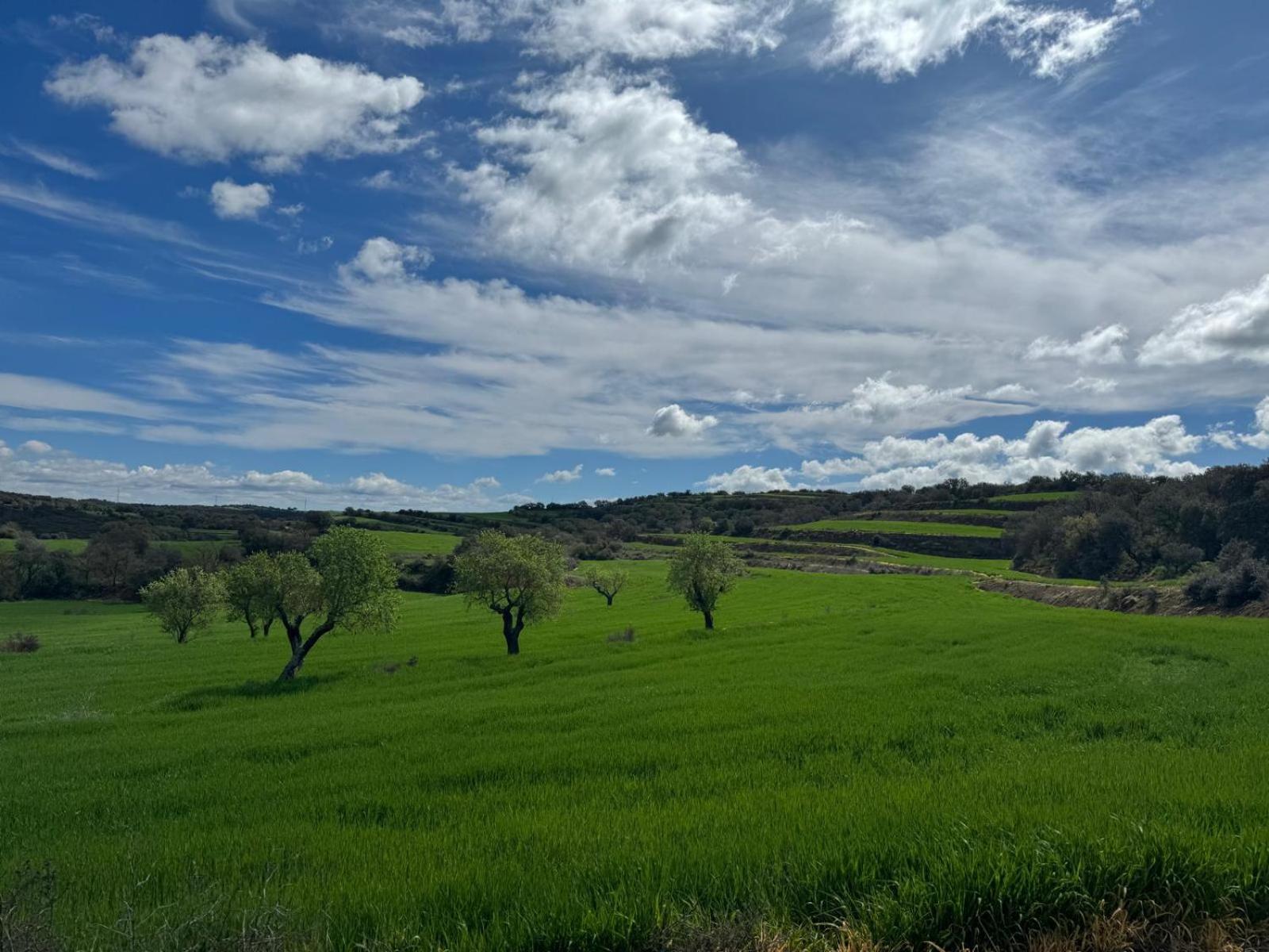Masia De Queralt Luxury Con Y Vistas