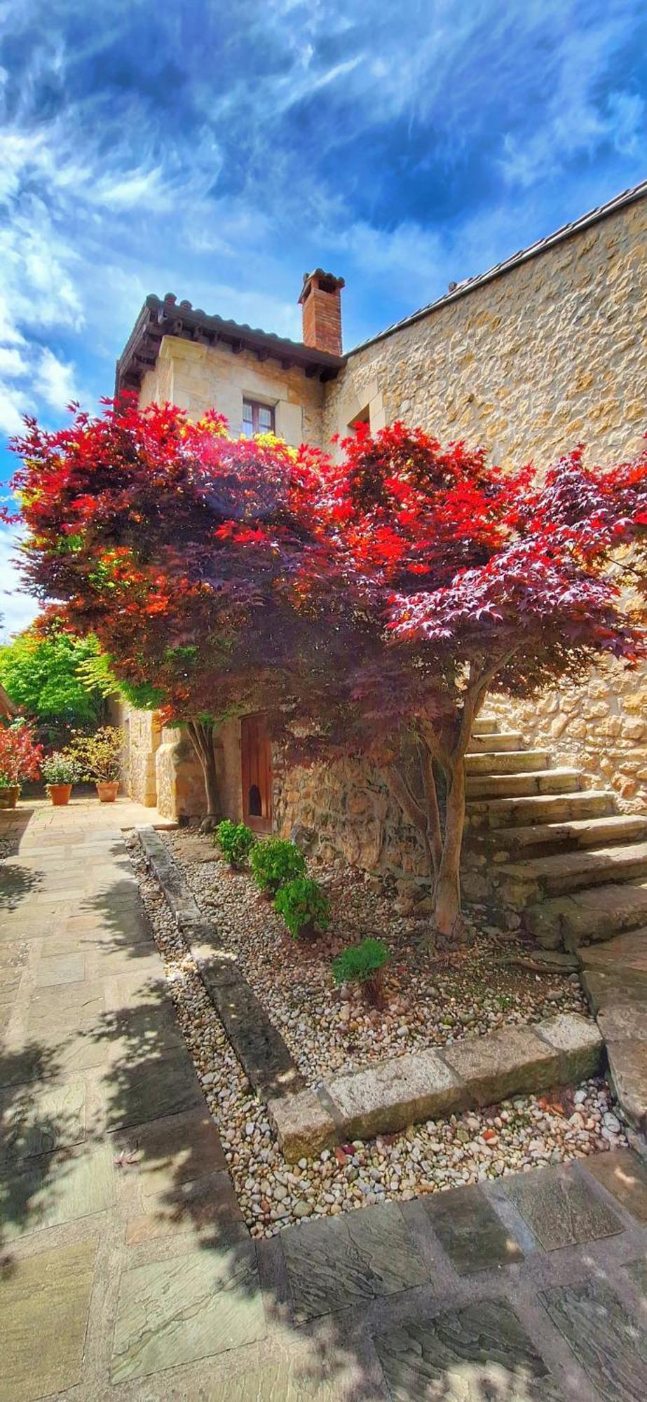 Apartamento Palacion De Santillana *