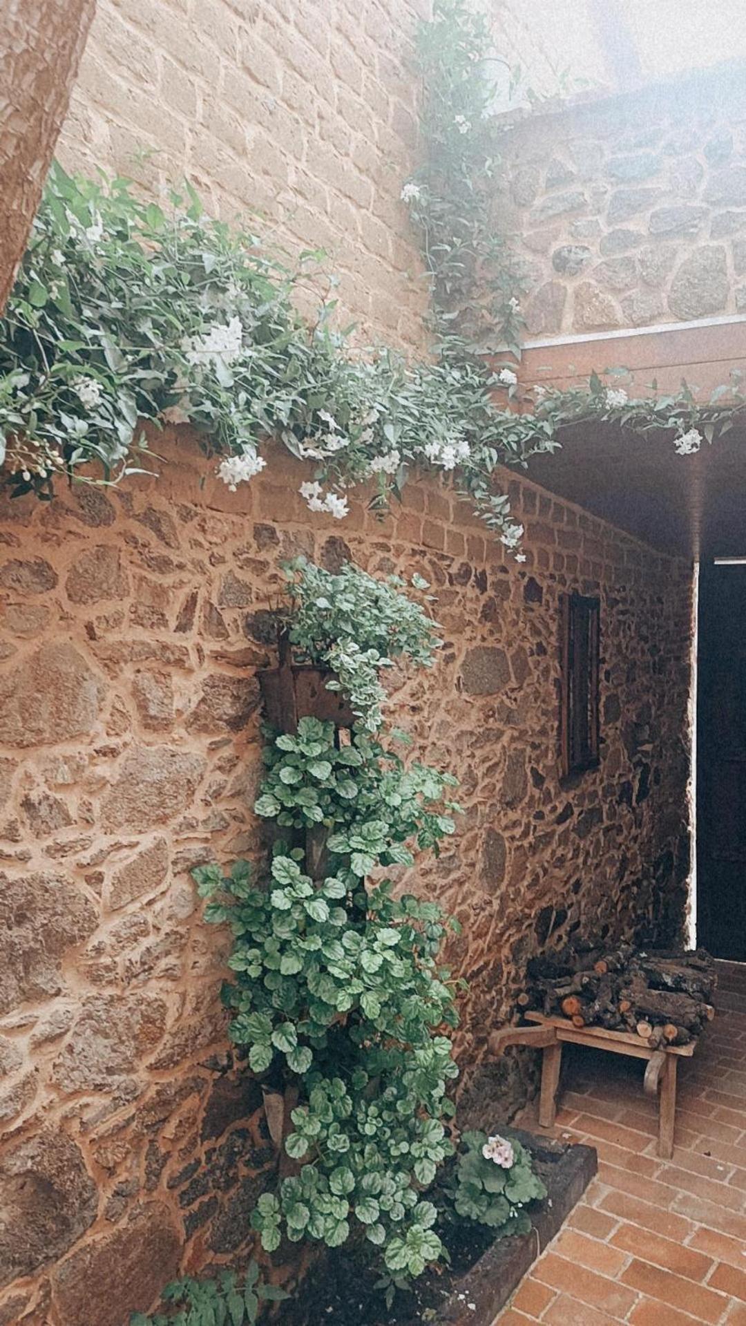 Сasa de vacaciones La Casita De Albino Castillo de Bayuela