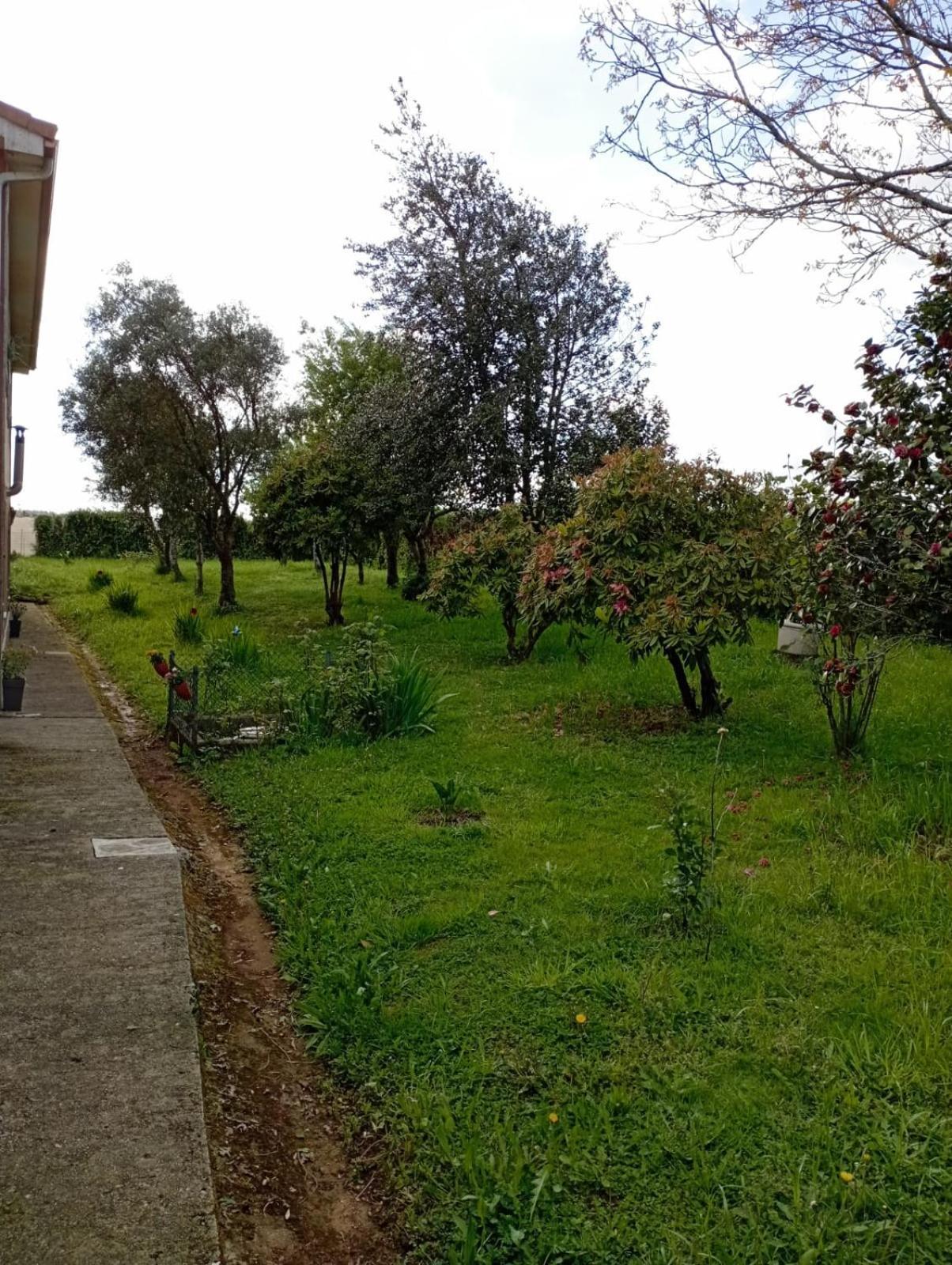 A Casa Do San Paio De Buscas