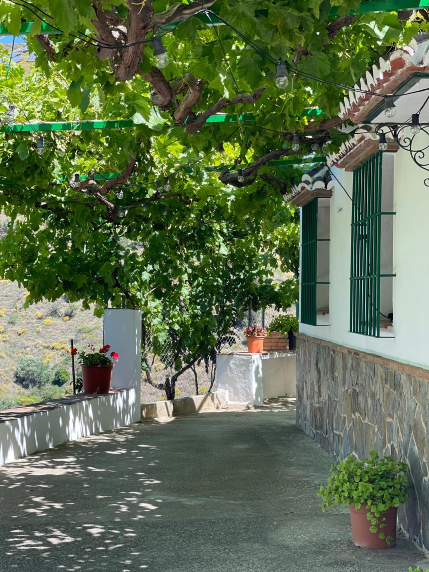 Holiday home Casa Frontillas *