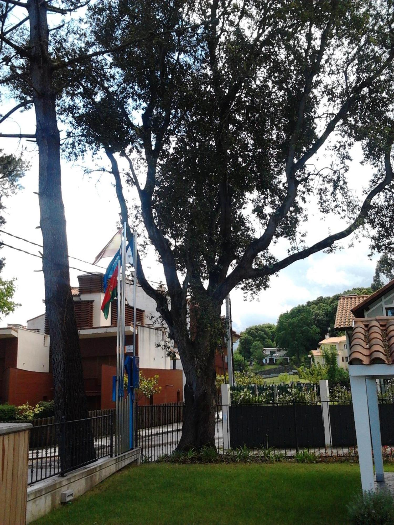 Ancora Apartment