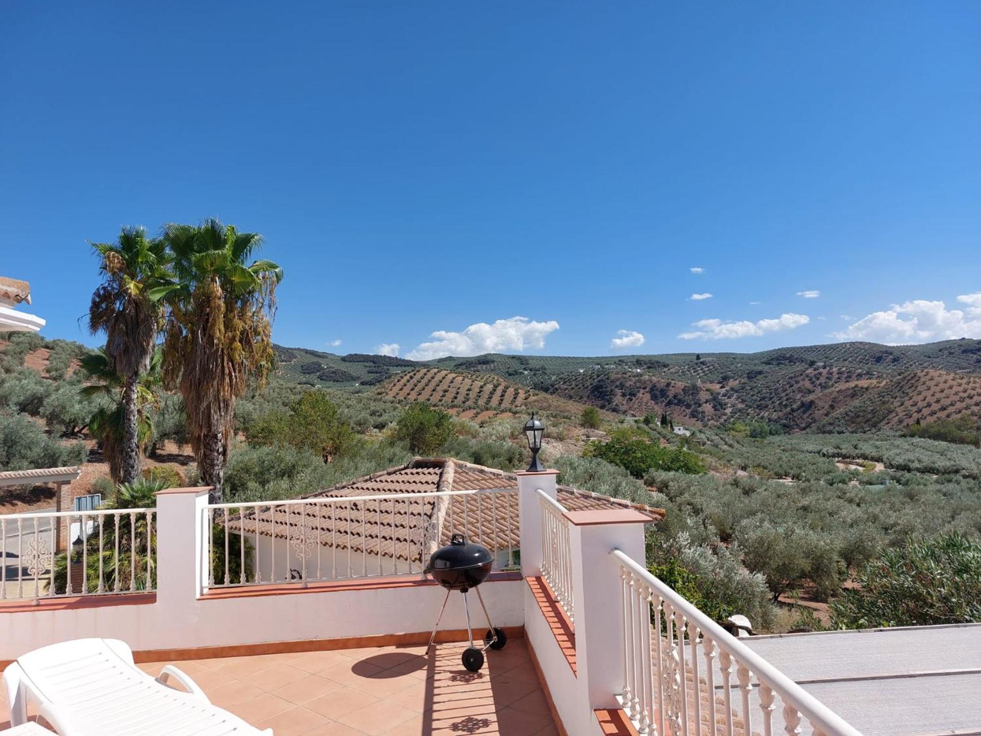 Casa Pino Solo *
