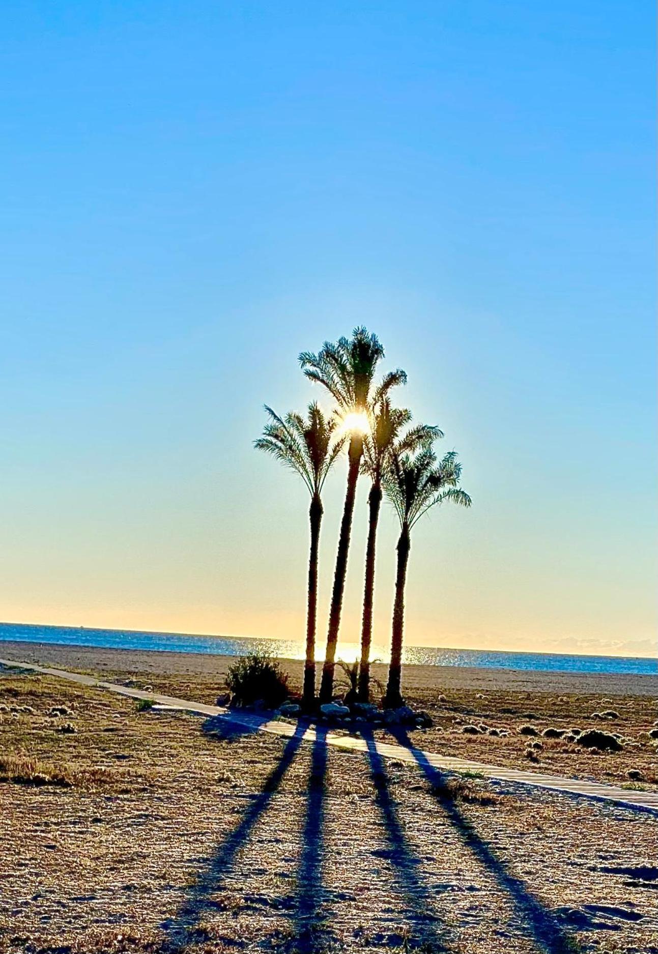 Desa Laguna Playa Apartamento