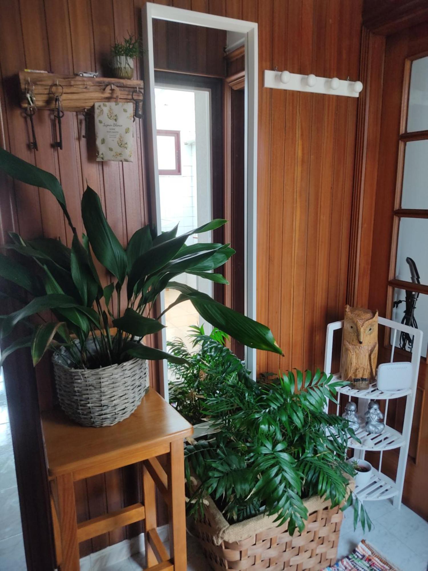 Apartamento Luminoso Y Amplio Piso En *