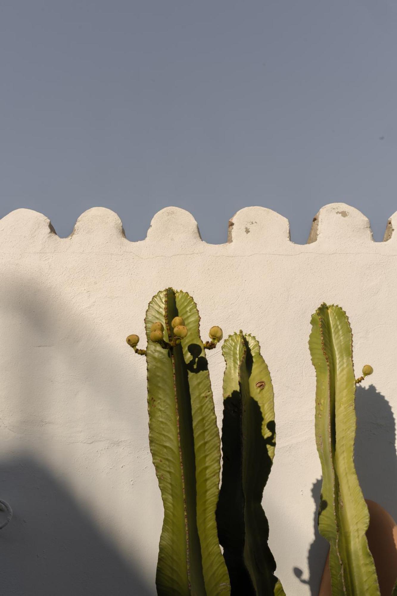 Guest house Casa Uva - Boutique Vejer de la Frontera