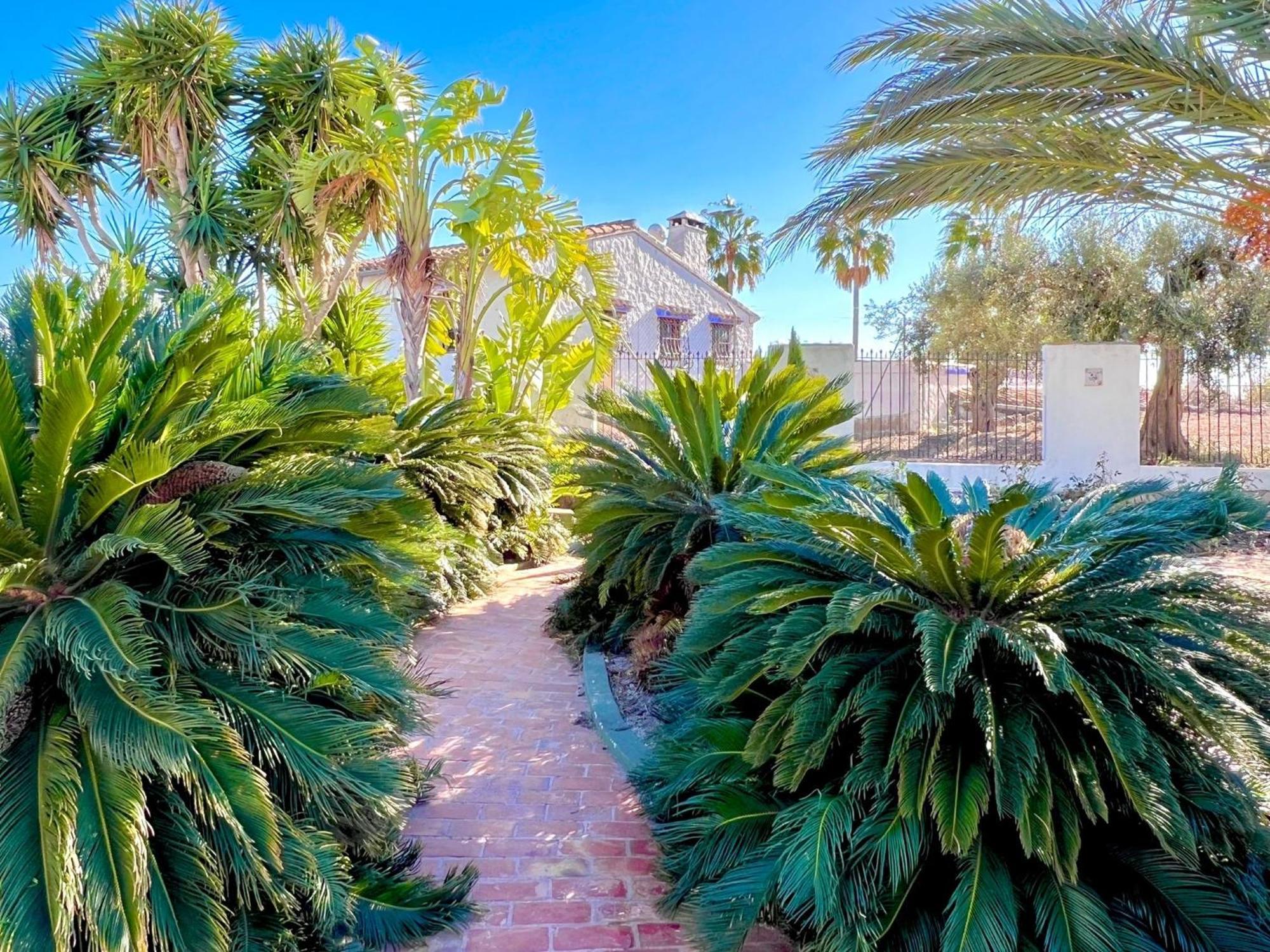 Caballeros - Adults Only Benissa