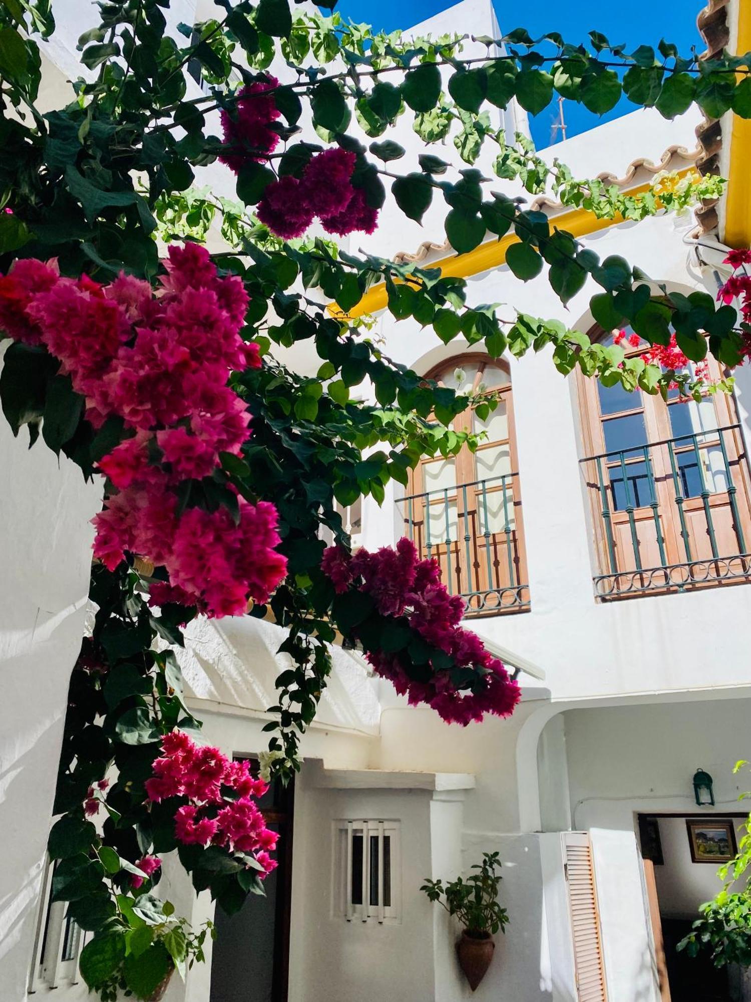 Townhouse *