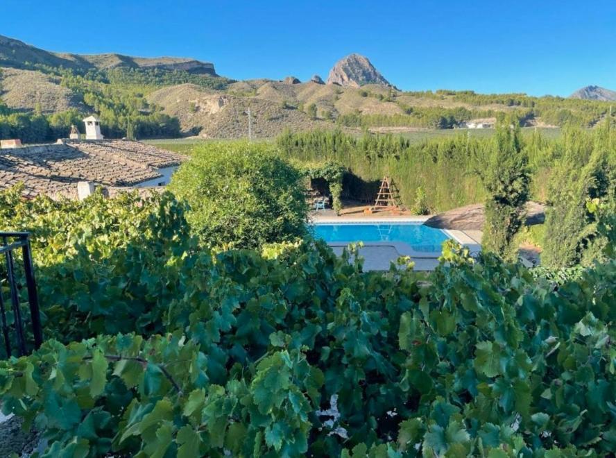 El Cabezo De La Torre Сasa de vacaciones *
