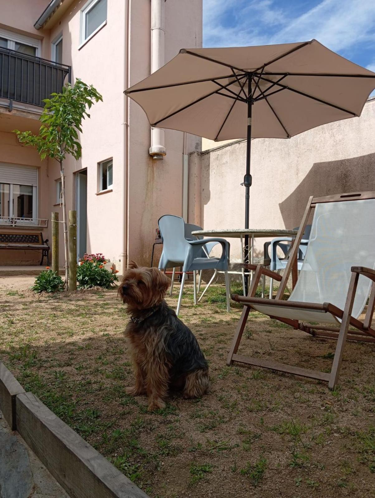 Сasa de vacaciones Ca L'avi Ramon *