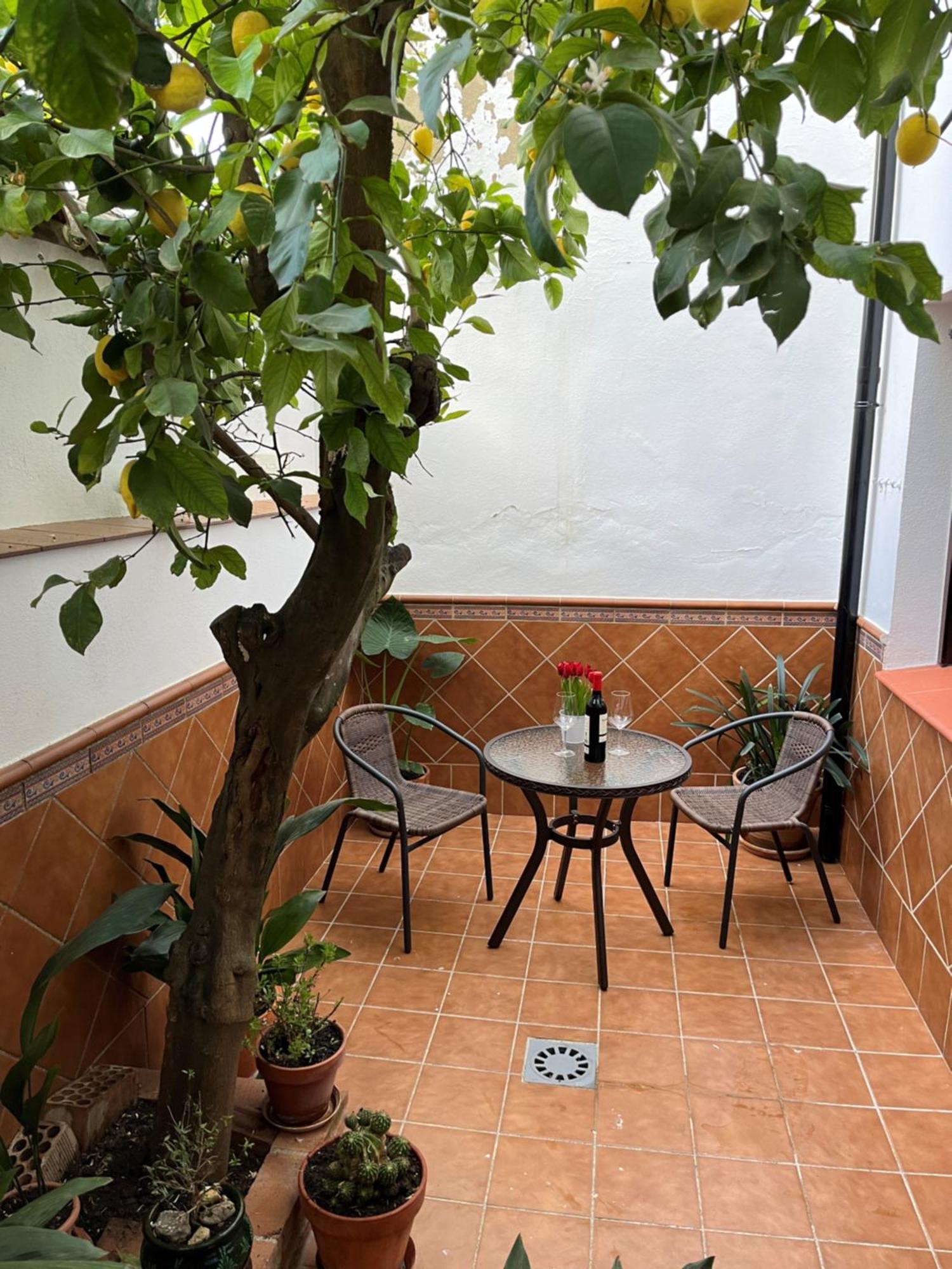 Casa Arao * Grazalema