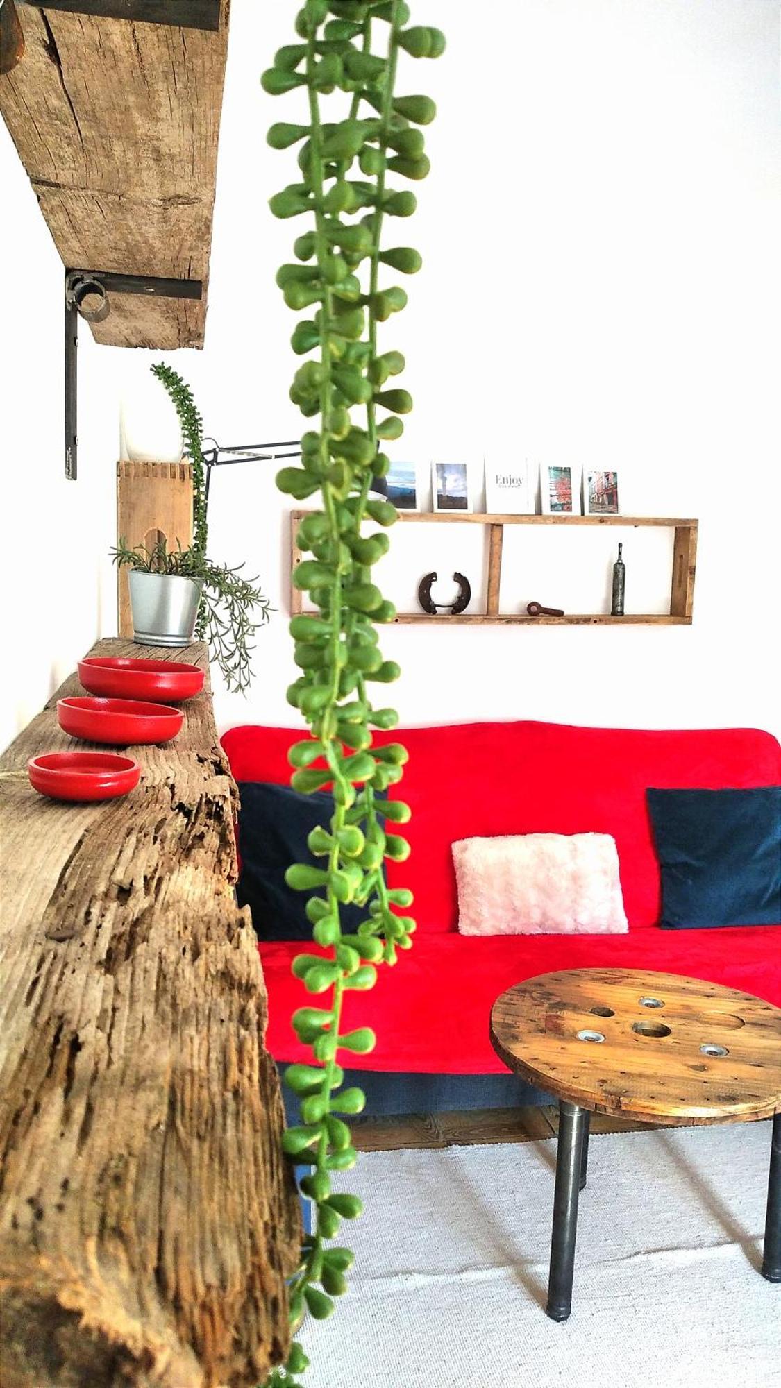 Apartamento Raiz Azul 2 Cerquita De Salinas *
