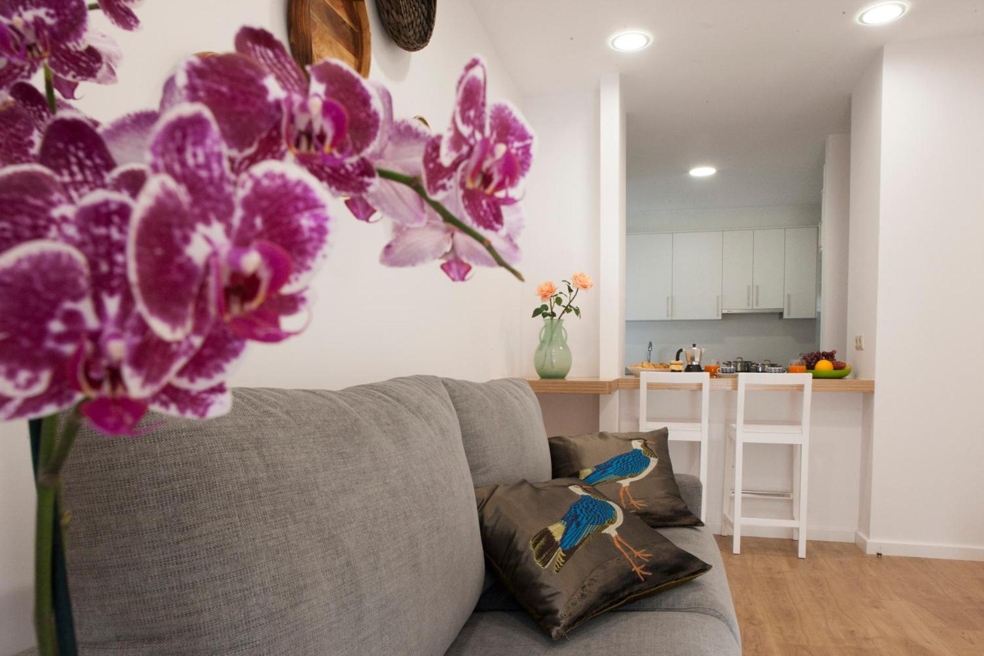 Apartamento A Fonte Hortas Residencial Santiago de Compostela