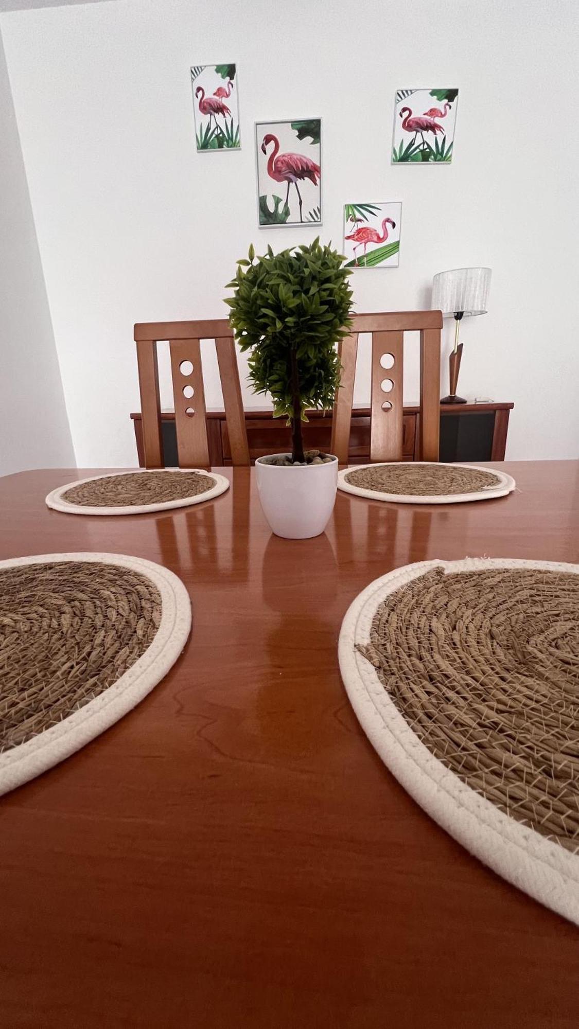 Apartamento Palmeras *