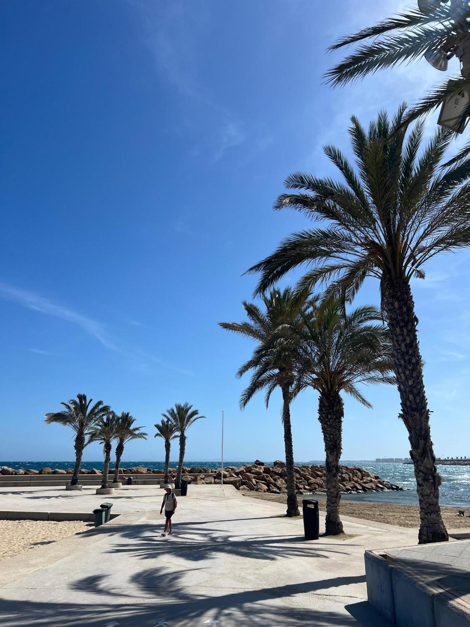 Apartment Alicante
