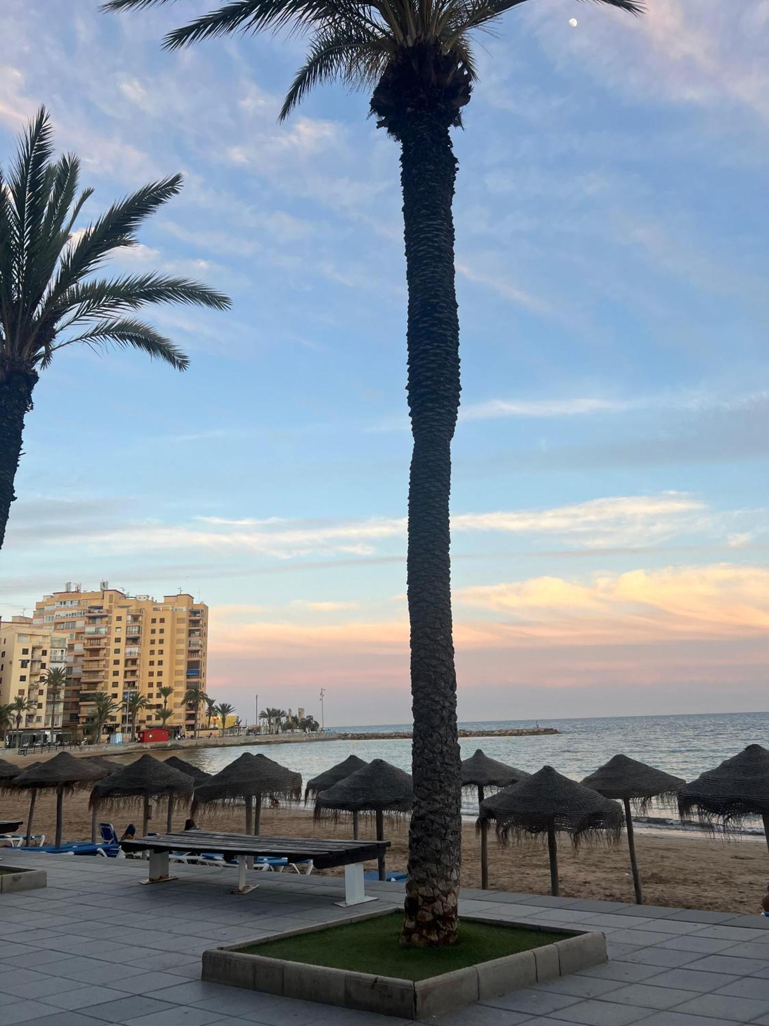Apartment Alicante Torrevieja