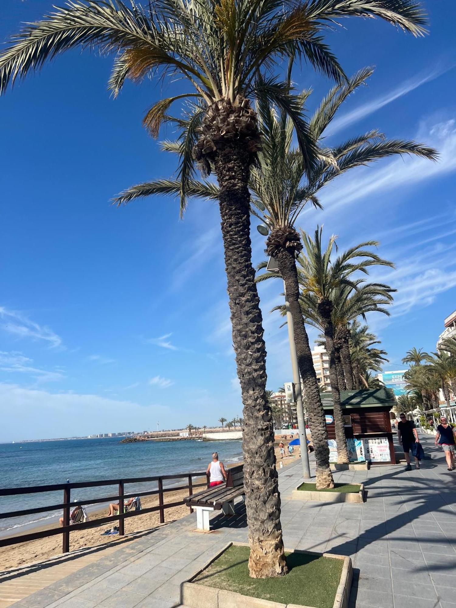 Apartment Alicante