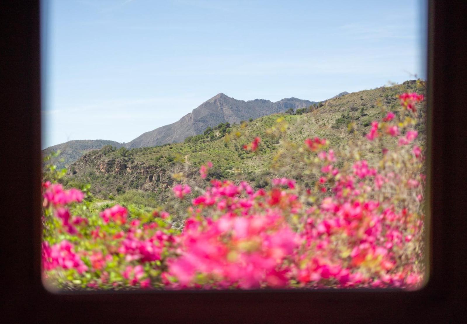 Breathtaking Velez Viewpoint Villa *