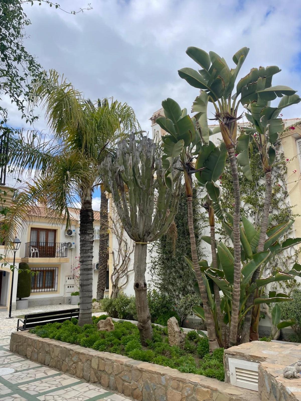 Apartamento Casa Veratense Vera Playa *