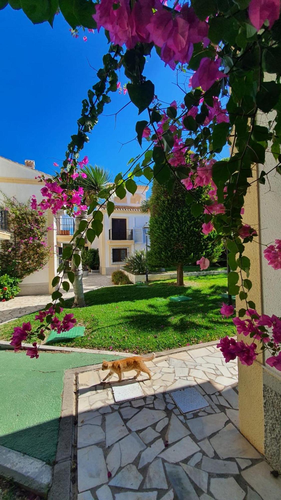 Casa Veratense Vera Playa *