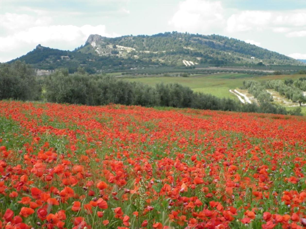 Сasa de vacaciones Rural La Teja Cortes de Baza
