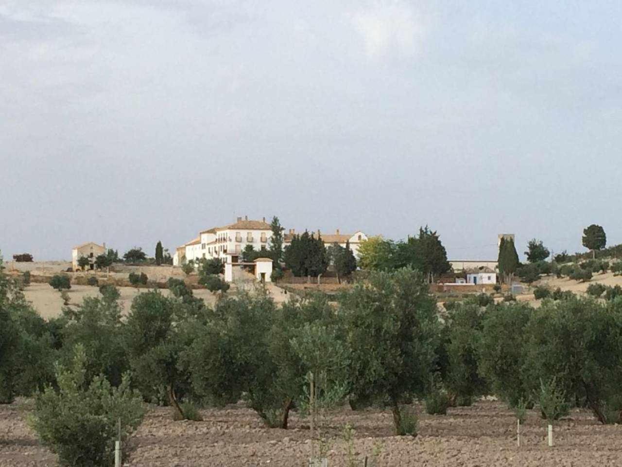 Cortijo Rurales Apartment Arjona