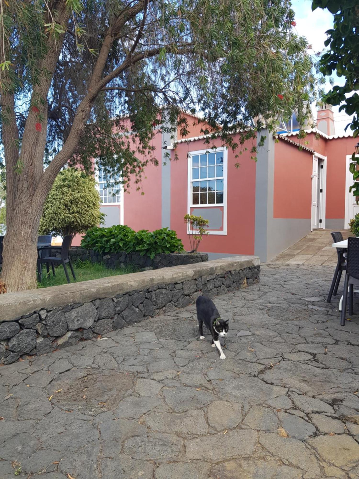 Corral De Payo Grande Country house *