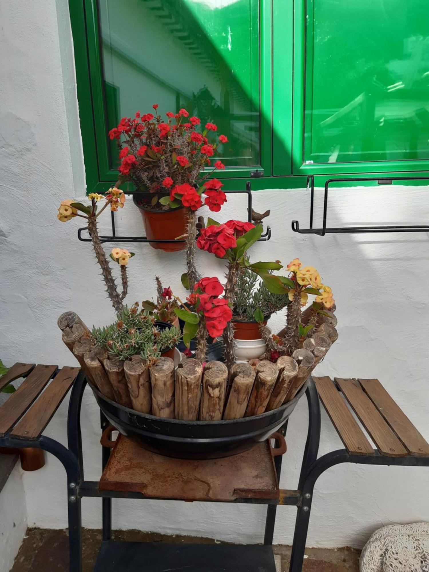 Casa Santana Segura * Tejeda (Gran Canaria)