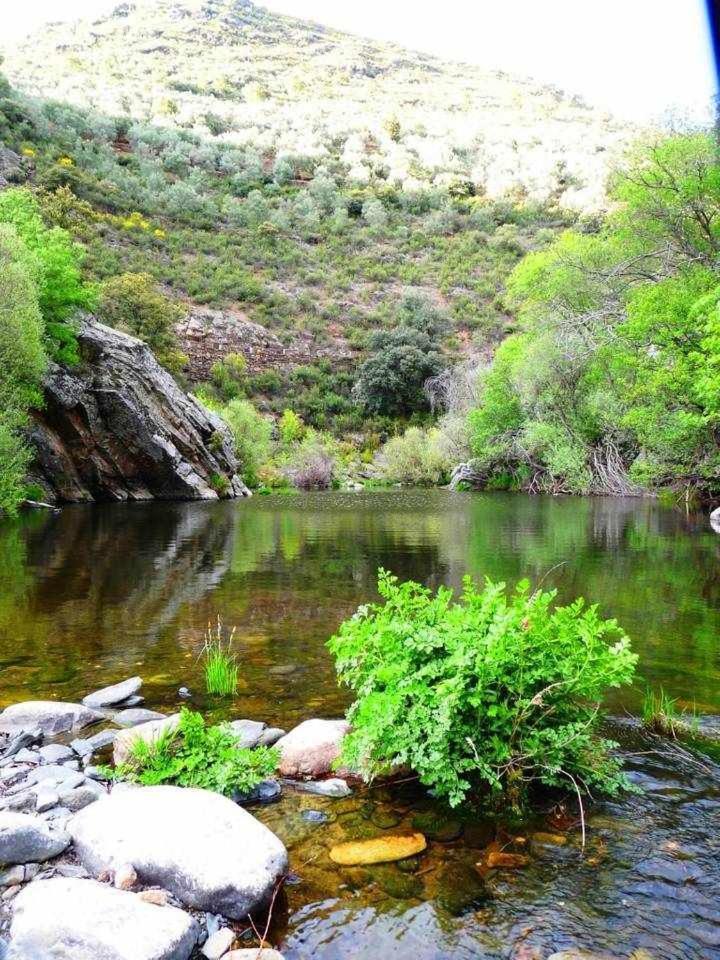Franciaquilamas * Santibanez de la Sierra