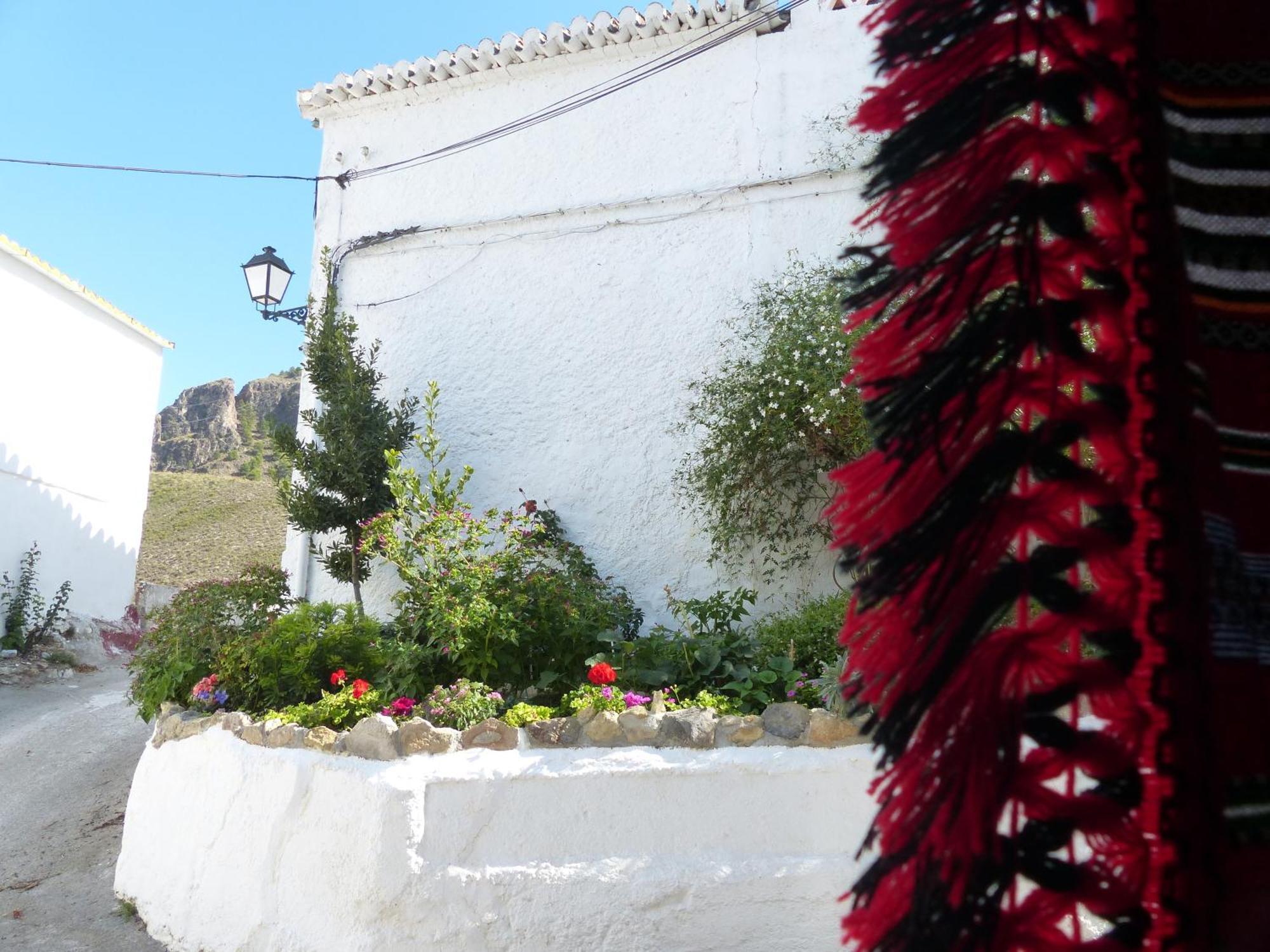 Casita De La Vaca Pensión Mondujar