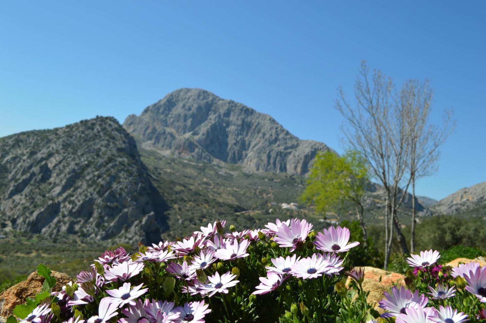 Cortijo Pulgarin Bajo *