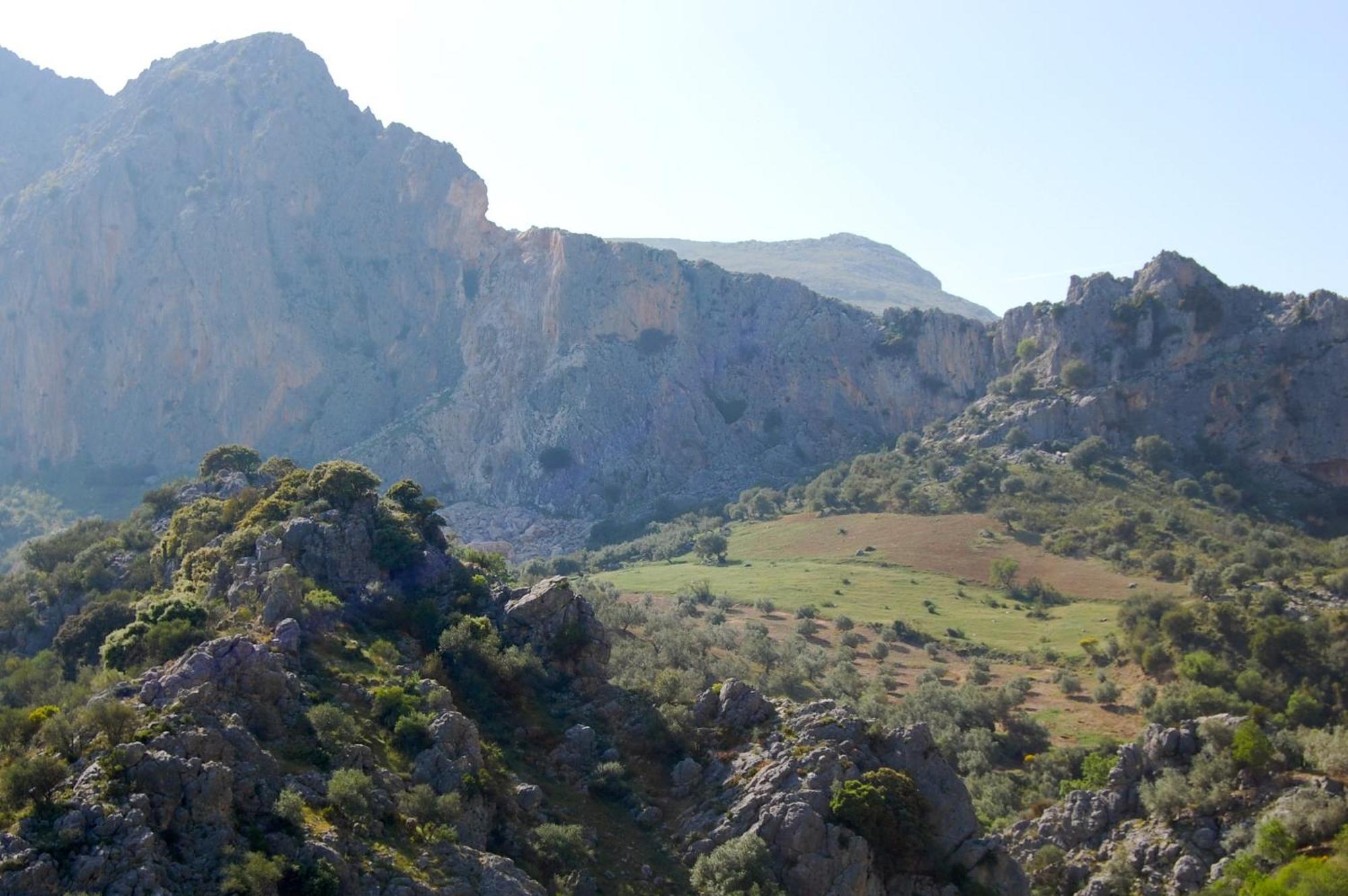 Cortijo Pulgarin Bajo * Alfarnatejo