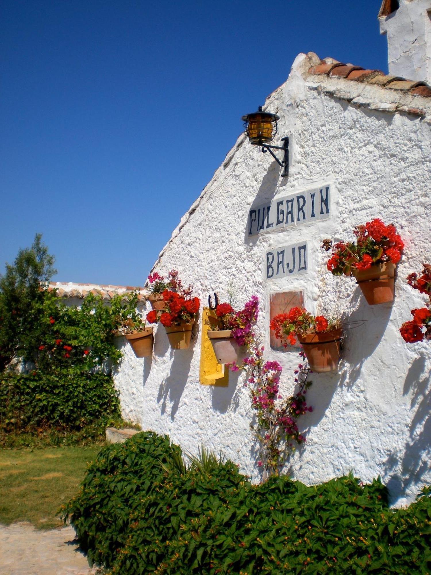 Cortijo Pulgarin Bajo
