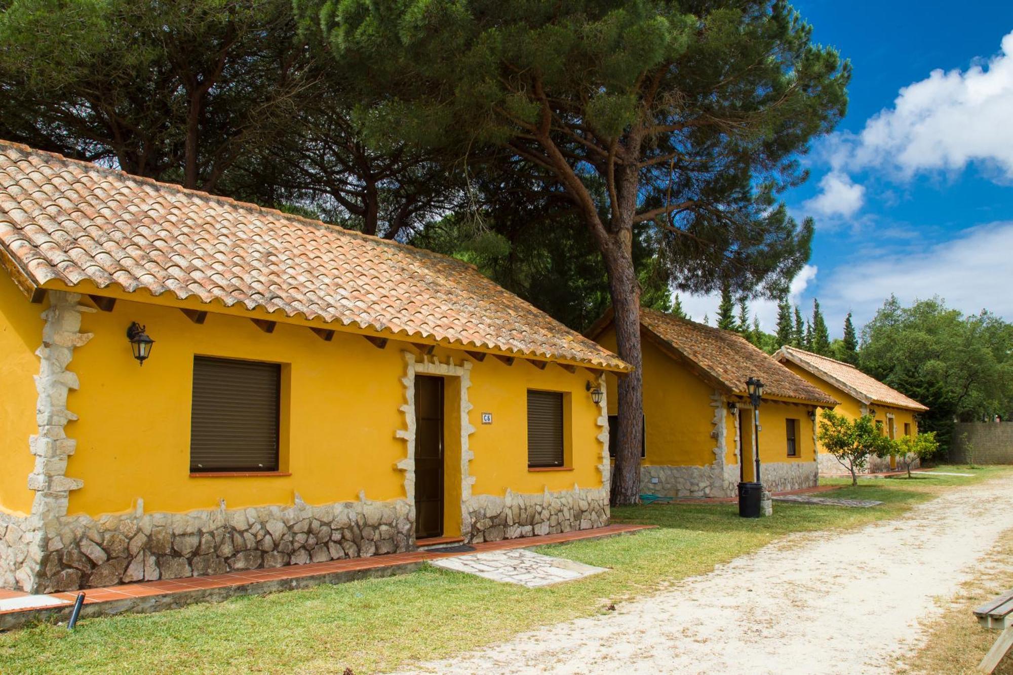Vejer Camping *
