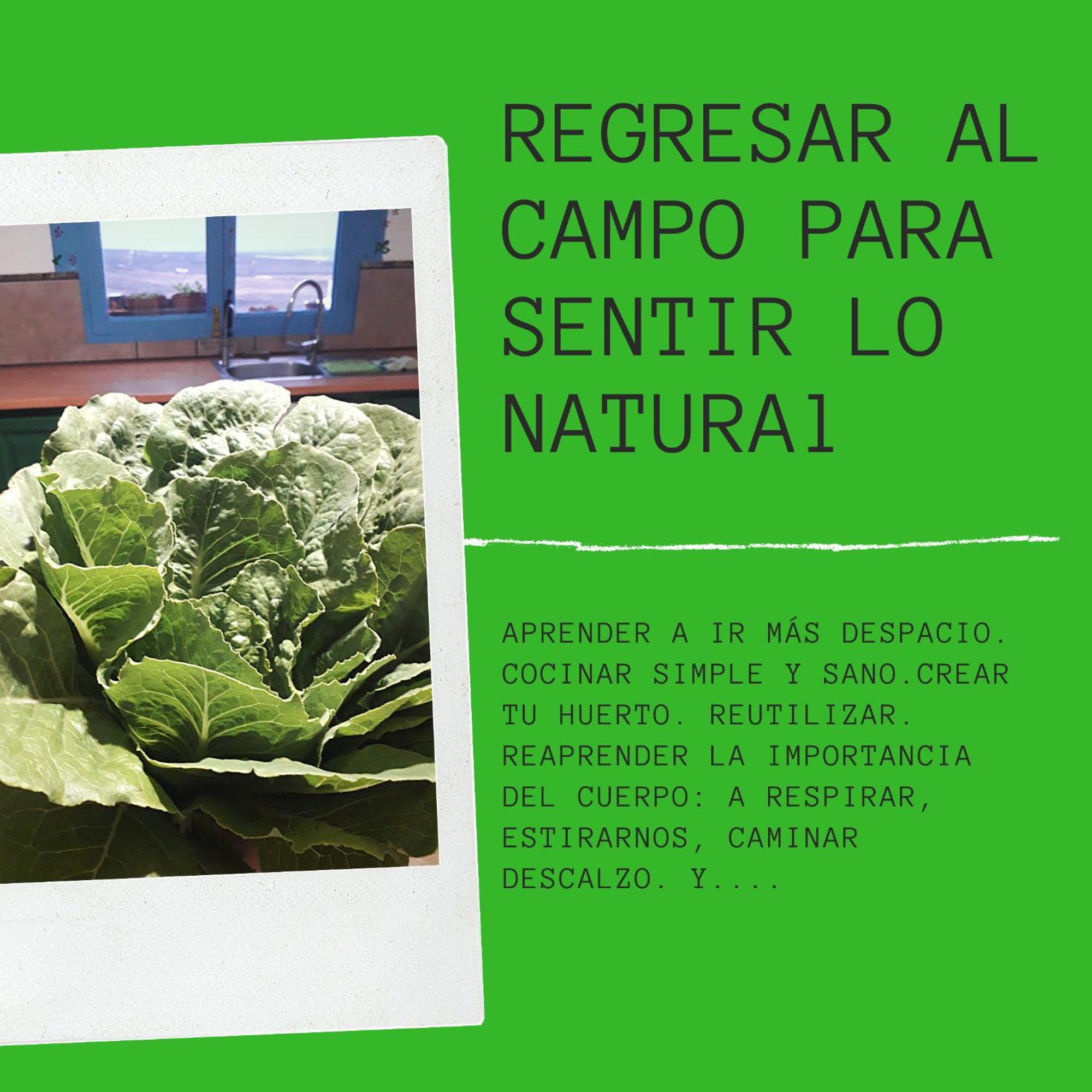 Eco Casa Alma,montana, Campo Y Playa Apartment *