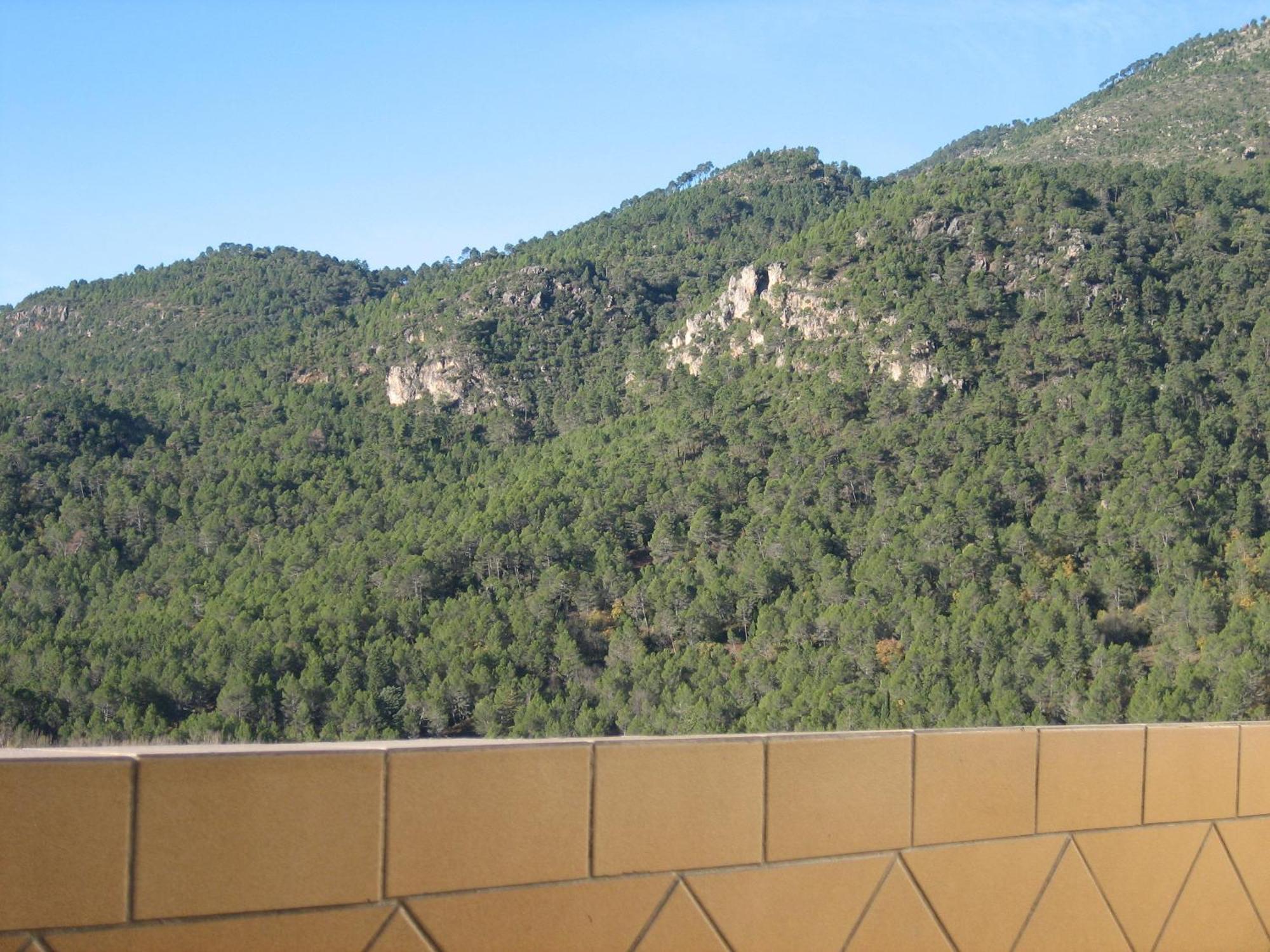 Bellavista Holiday home Coto Rios
