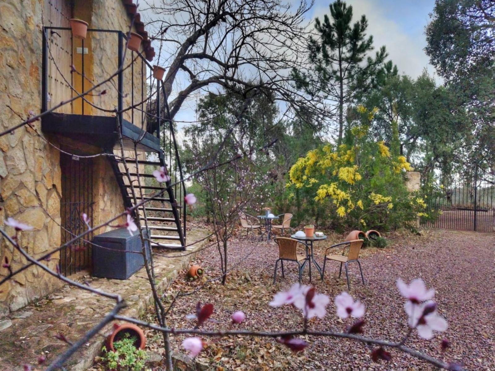 La Virinuela (adults Only)